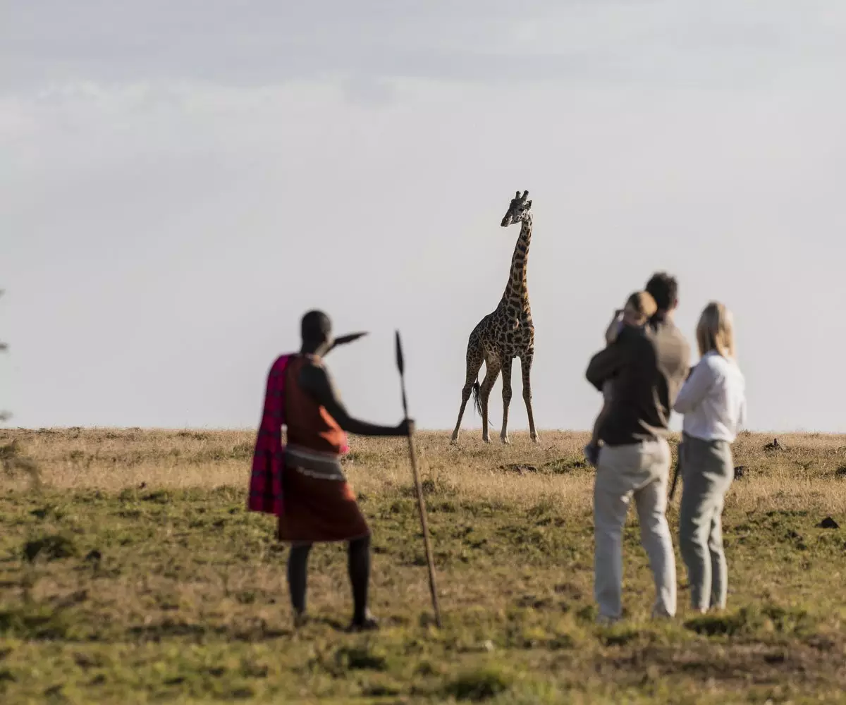 The Magic of the Masai Mara: Luxury Safari Experiences Away from the Crowds