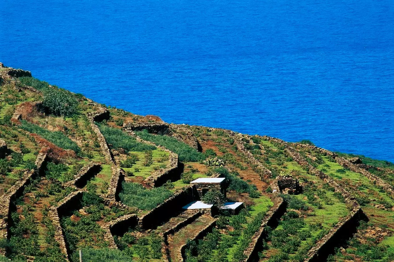 Exploring Uncharted Wine Regions: The Future of Wine in 2024