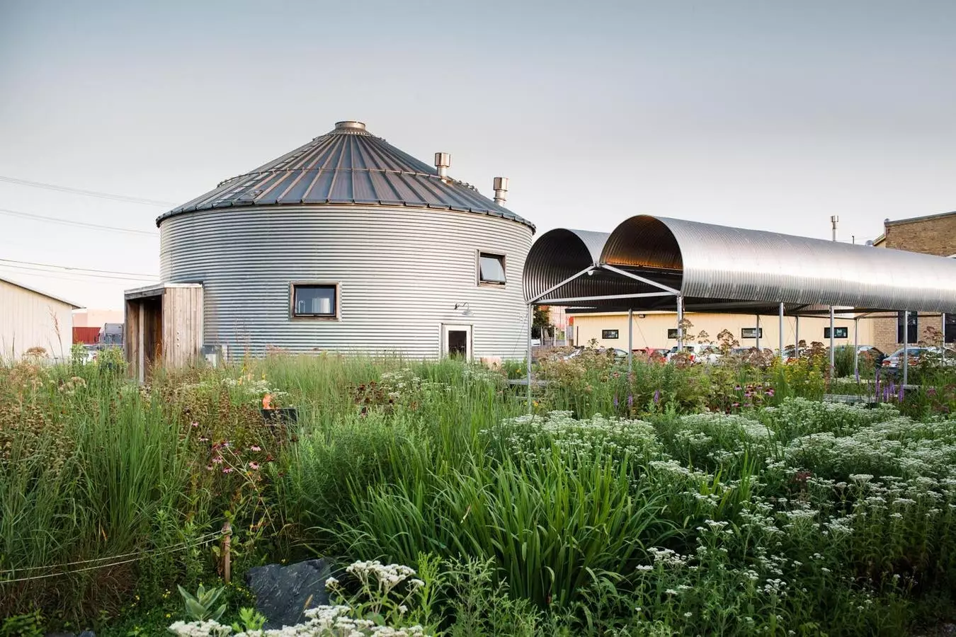 Kernza Beer: A Sustainable Craft Brewing Revolution