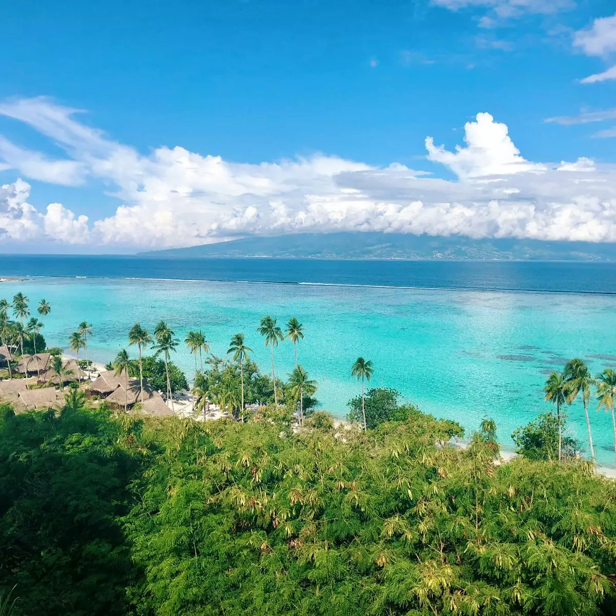 The Unexplored Beauty of French Polynesia: 5 Captivating Islands to Visit