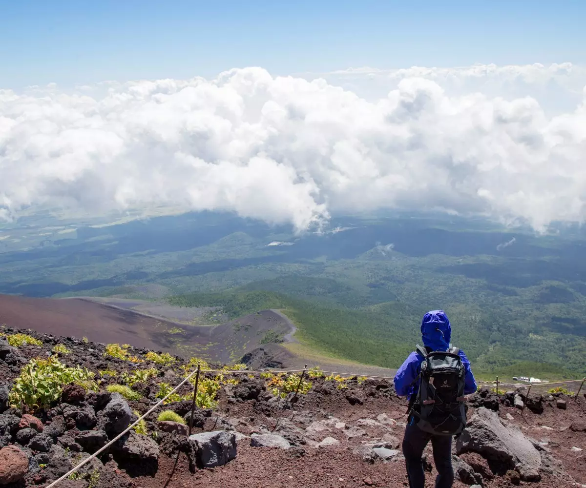 Exciting Events in Shizuoka, Japan: A Year-round Celebration