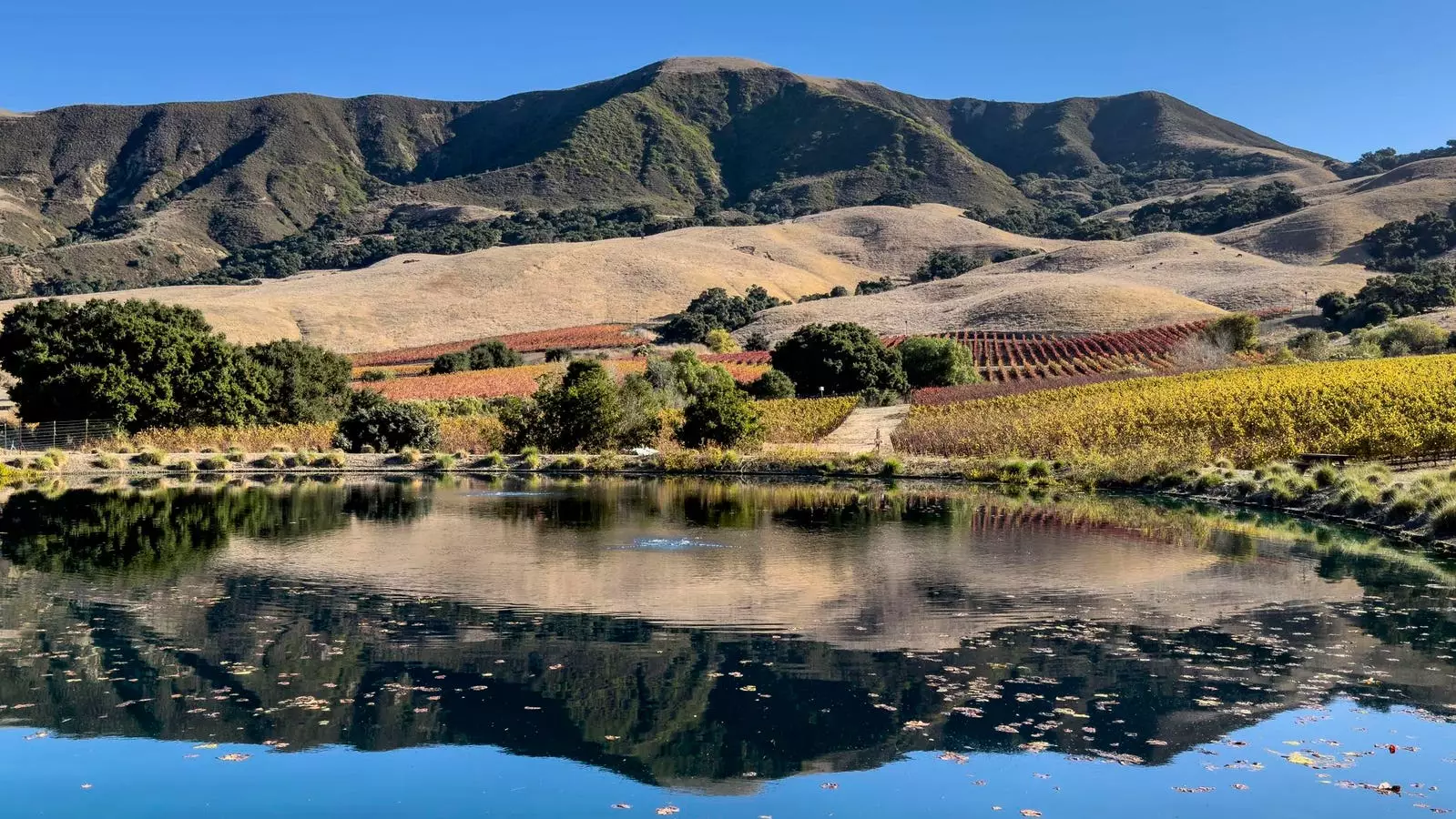 The State of American Agriculture: Progress and Challenges