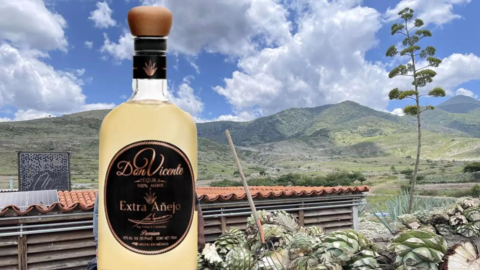 The Rise of Tequila and Mezcal: An Unparalleled Success Story
