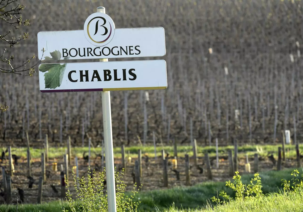 Exploring the Fresh and Nuanced Wines of Chablis