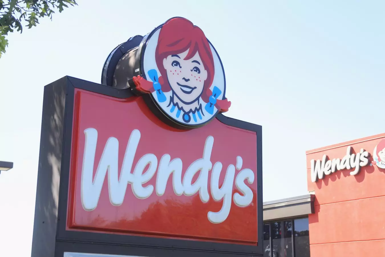 Critique of Wendy’s Dynamic Pricing Strategy