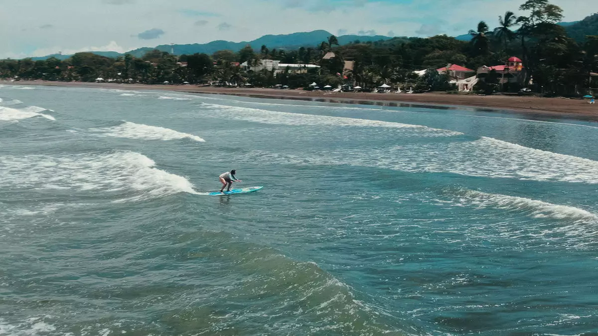 The Intersection of Surfing and Wellness: A Transformative Experience at Surf Synergy