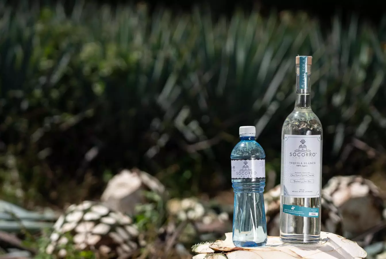 Crafting Change One Bottle at a Time: Socorro Tequila’s Mission to Provide Clean Water in Mexico