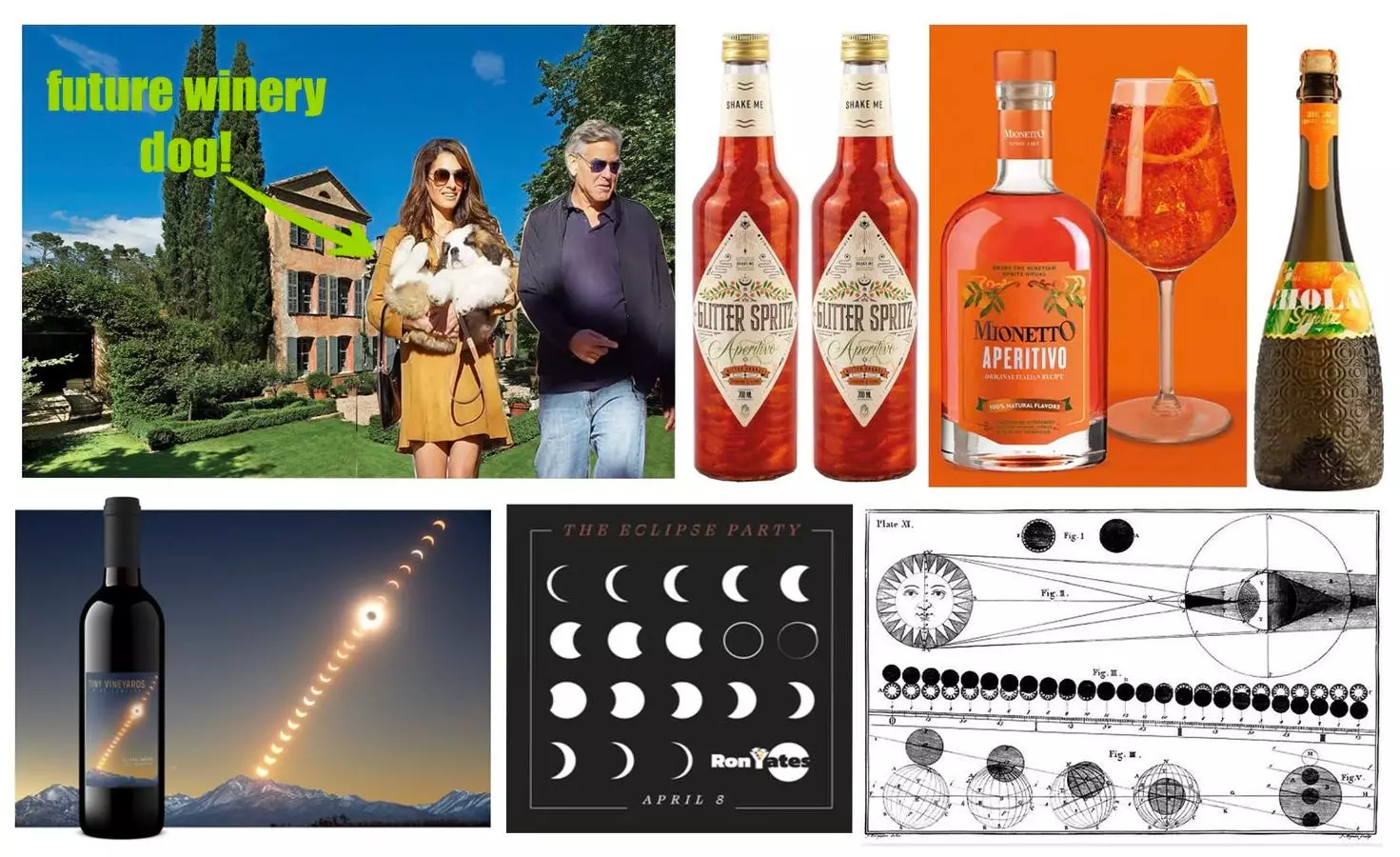 The Latest in Wine News: Orange Trends, Celebrity Bottles, Wine Digs, and Eclipse Sips