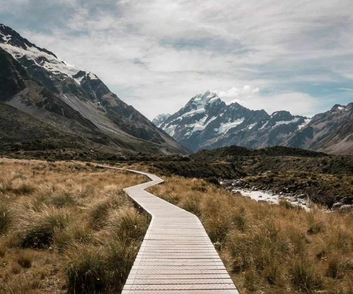 The Ultimate New Zealand Adventure Guide: Private Guided Tours vs. Standard Tours