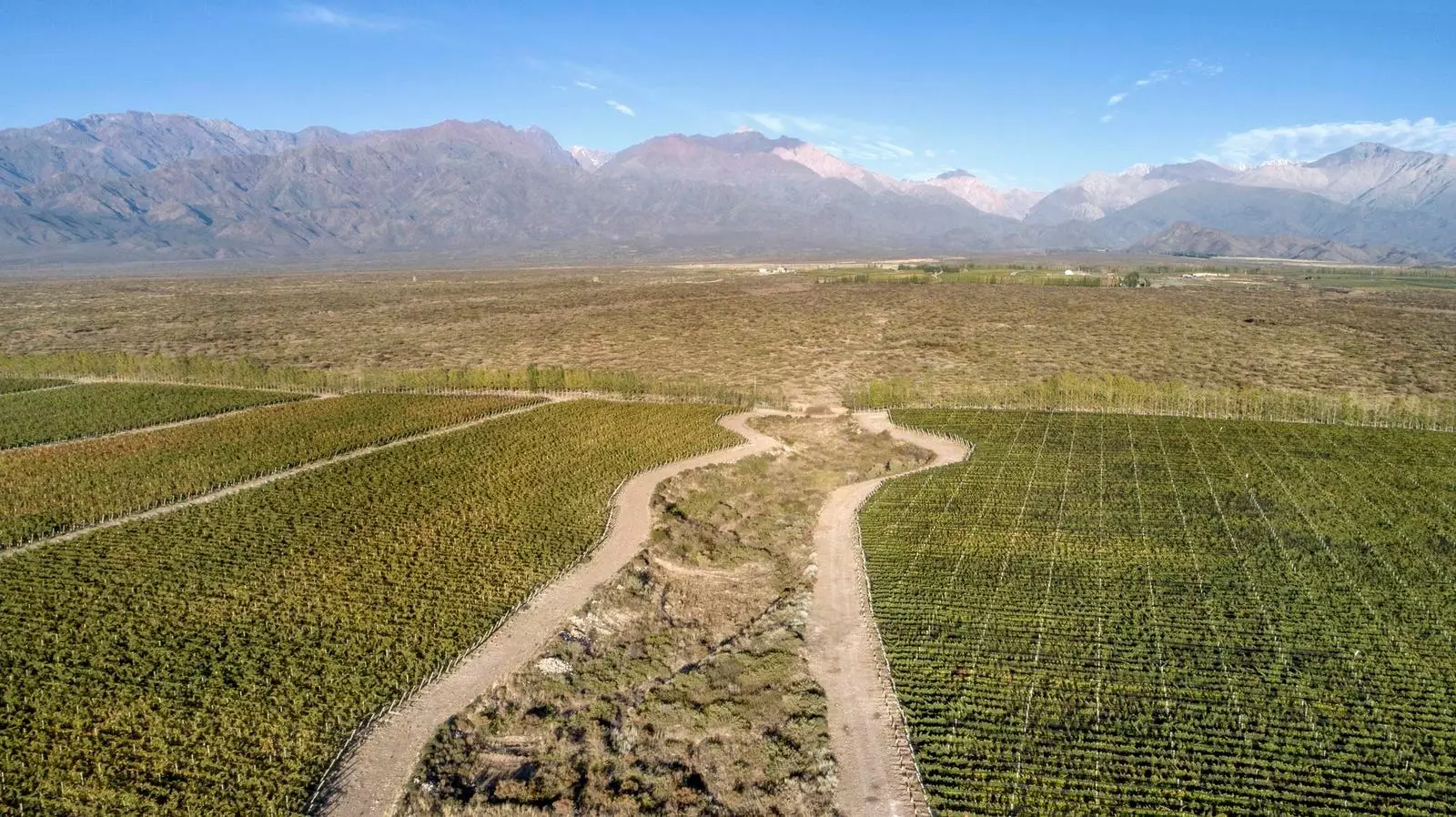 Wineries Around The World Embrace Sustainable Practices