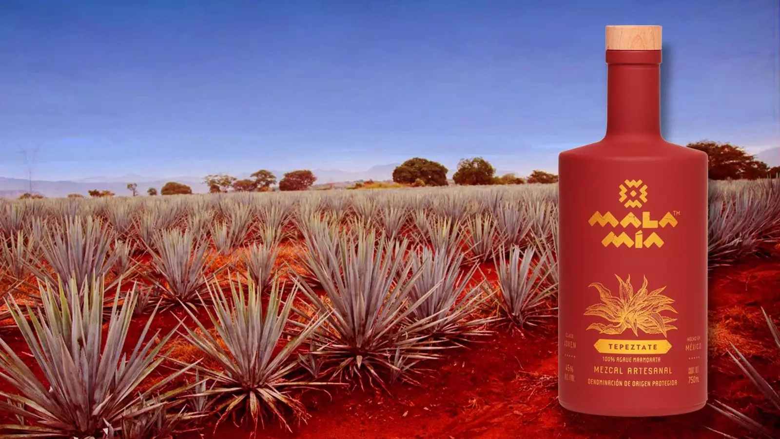 The Rise of Mezcal: From Rustic Roots to Global Icon