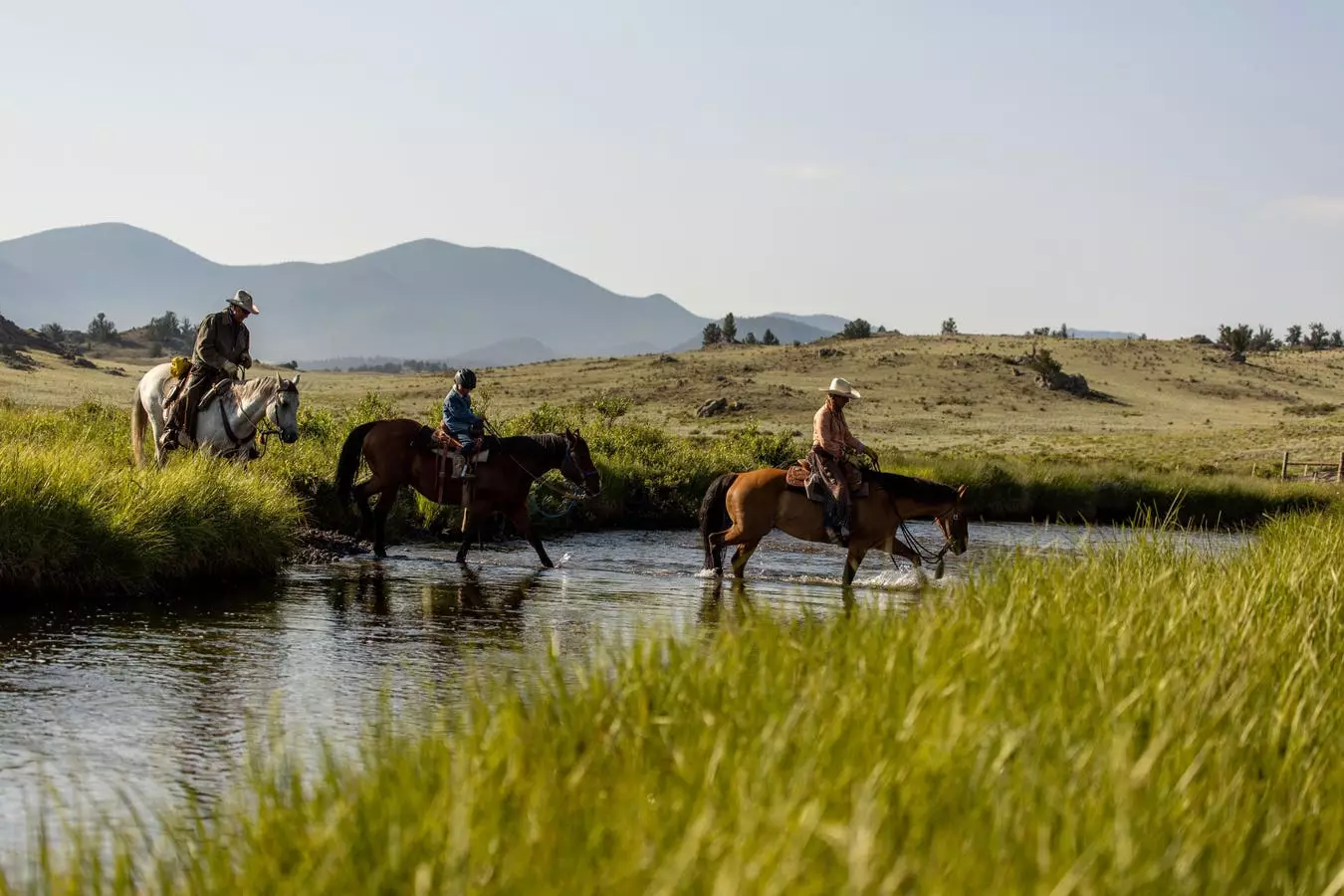 The Delicate Balance of Biodiversity and Agriculture