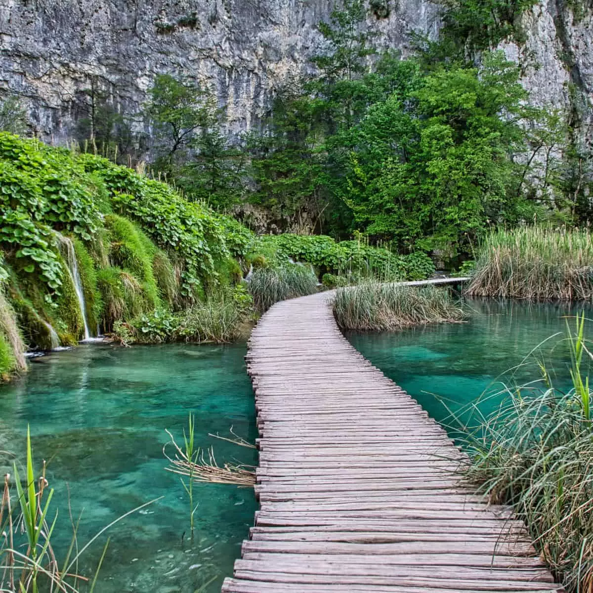 Exploring the Wonders of Plitvice Lakes National Park