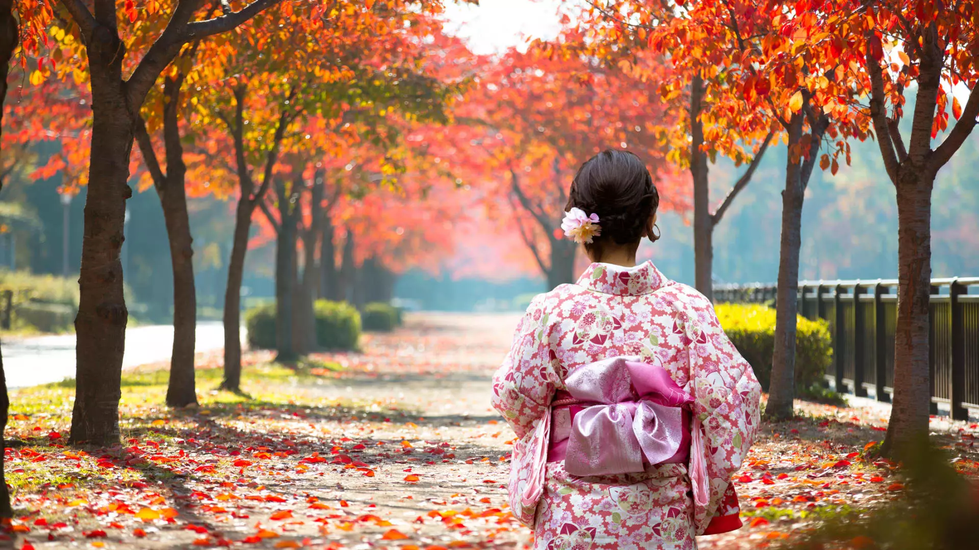 Decoding Japan’s Culture: Tips for Foreigners