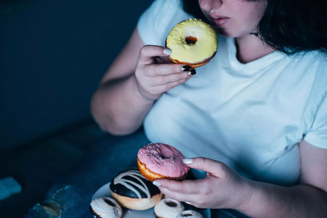 The Impact of High-Fat Diets on Anxiety Levels