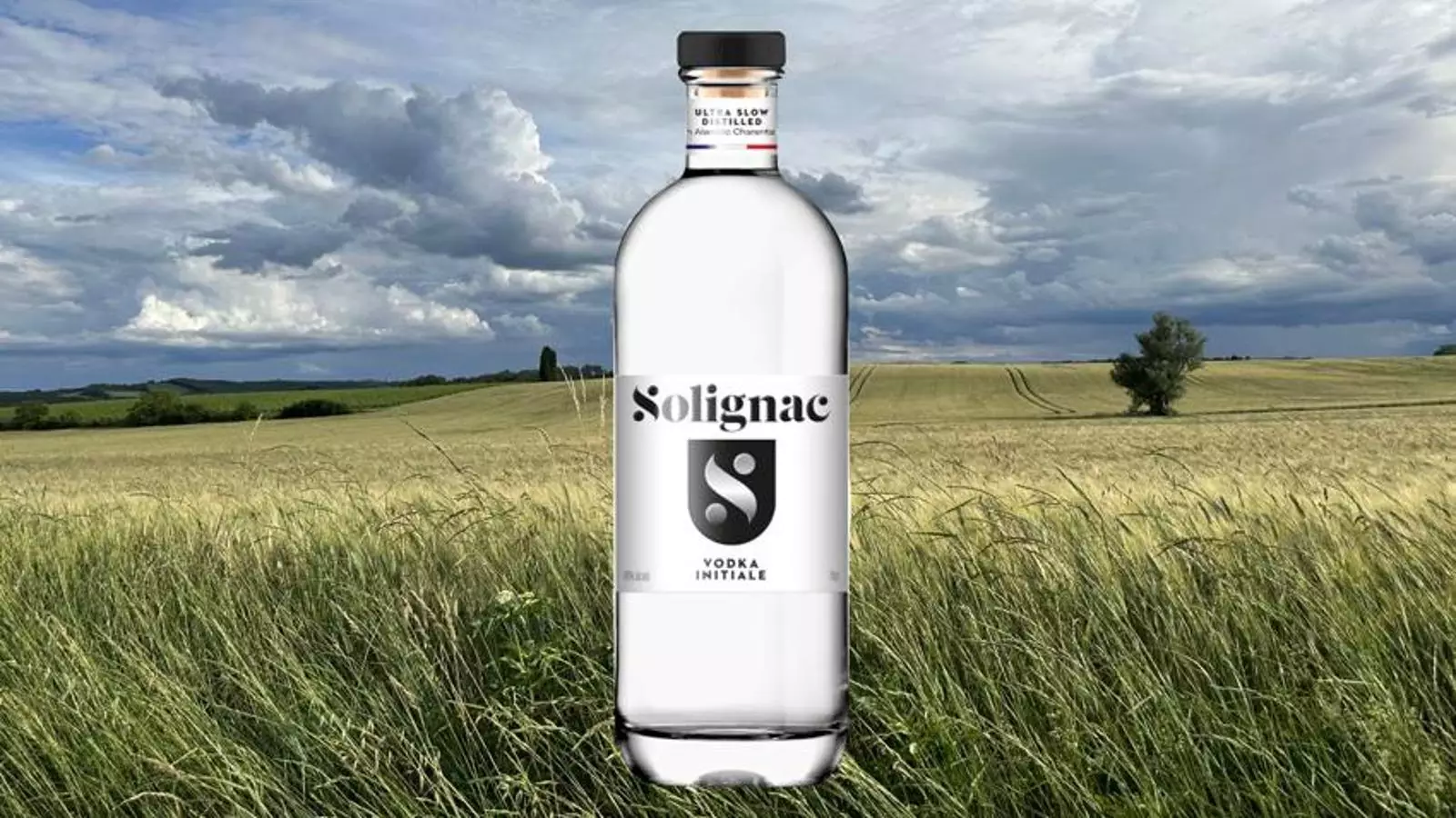 The World’s Best Vodka According to the International Wine and Spirits Competition