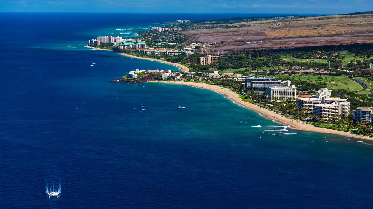 Examining the Decline in Hotel Occupancy and Room Rates in Hawaii