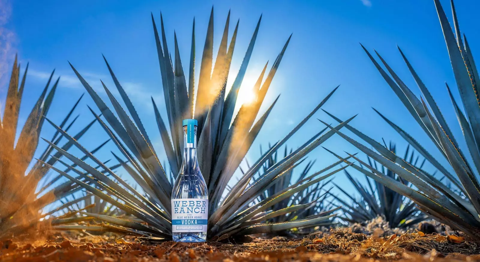 The Battle Against Additives in Agave Spirits: A Movement Towards Transparency