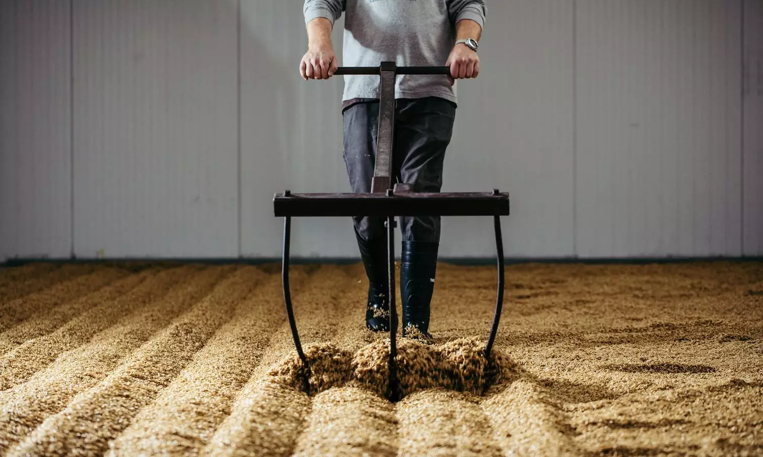 The Rise of Craft Malt: A Revolution in the Brewing Industry