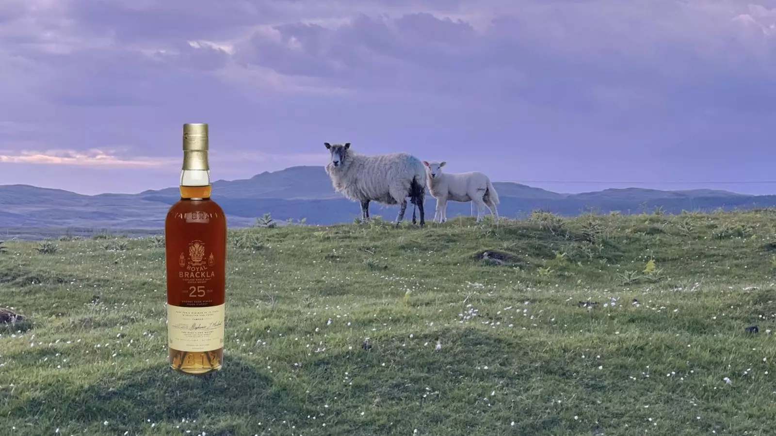 The Top Winners of the 2024 Scotch Whisky Masters