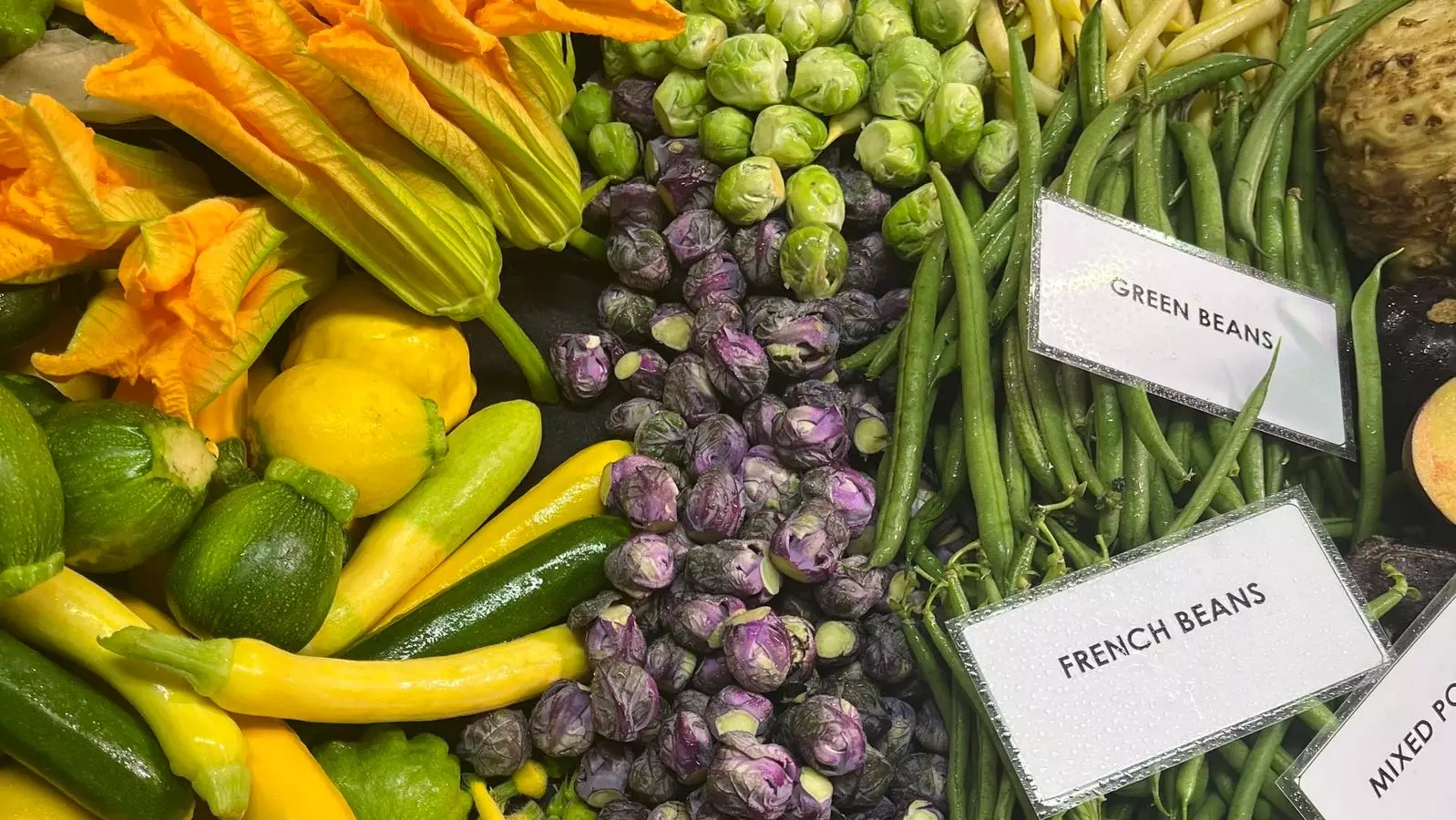 Embracing Sustainability: Reflections on Climate Week and the Future of Food