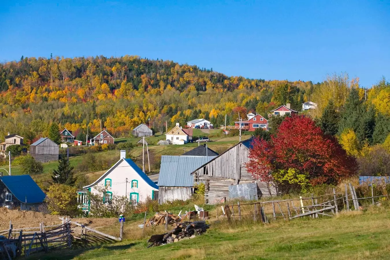 The Journey from Whey to Wonder: How a Family Farm Transformed Byproducts into Premium Spirits