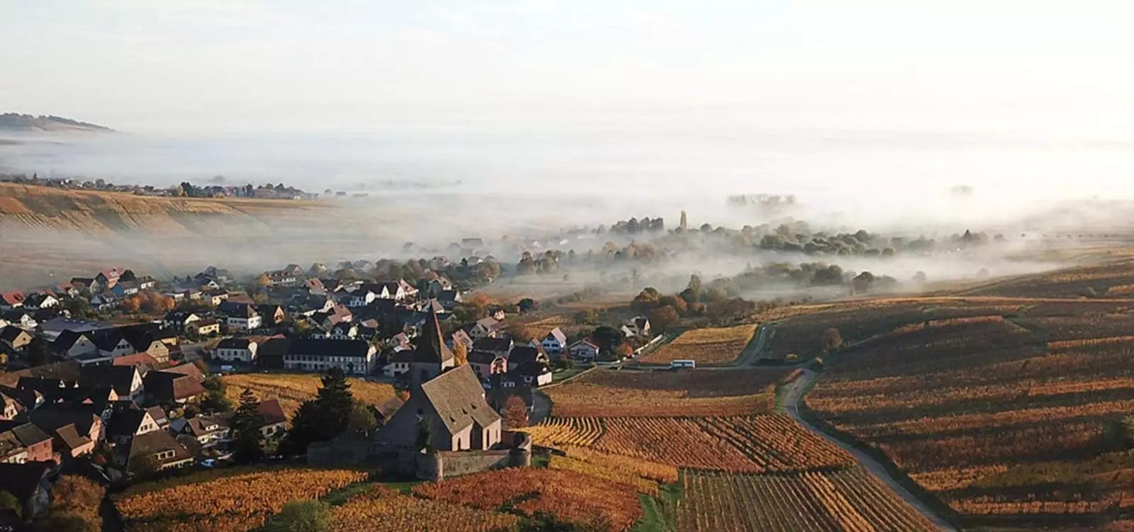 The Sublime Allure of Alsace Riesling: A Deep Dive into Domaine Christophe Mittnacht’s Masterpiece