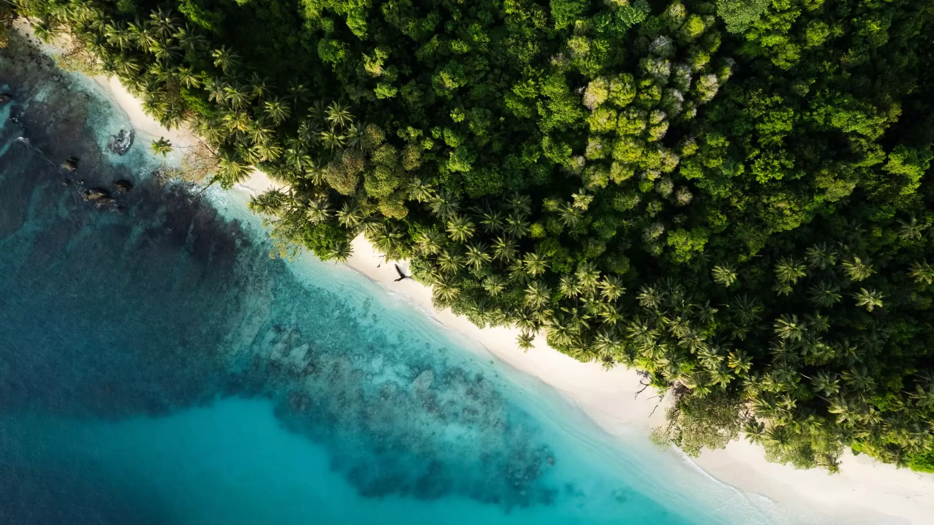 The Transformation of Pinang Island: A New Eco-Destination in Indonesia