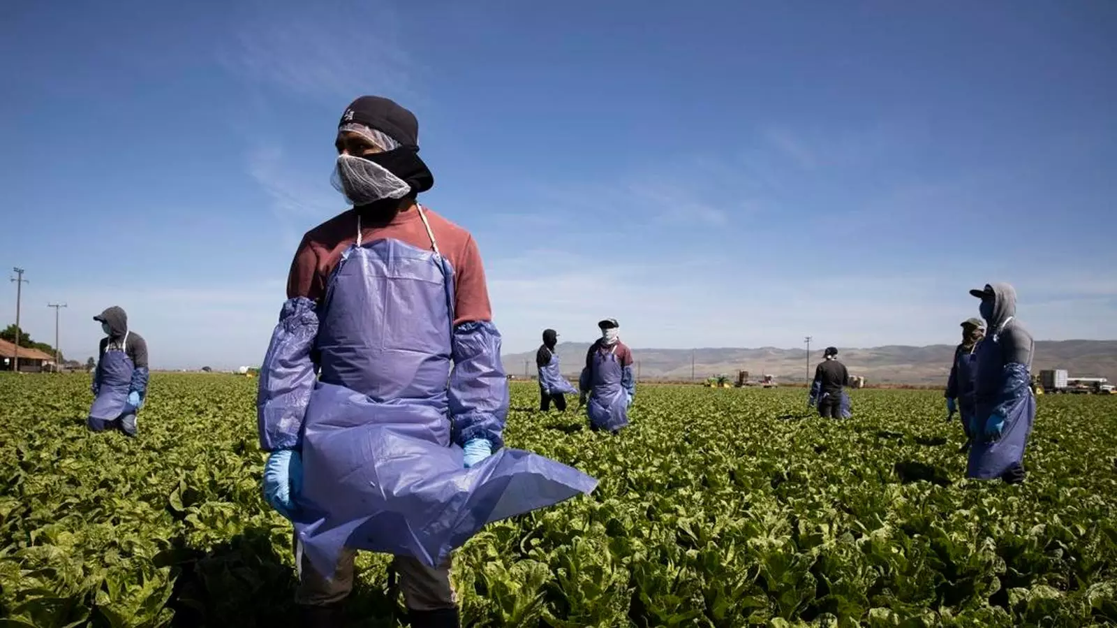 Legal Battle Looms Over New H-2A Visa Rule: Implications for Agriculture and Labor Rights