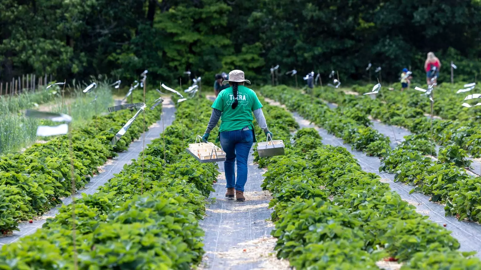 The Urgent Call for a Transformed Global Food System