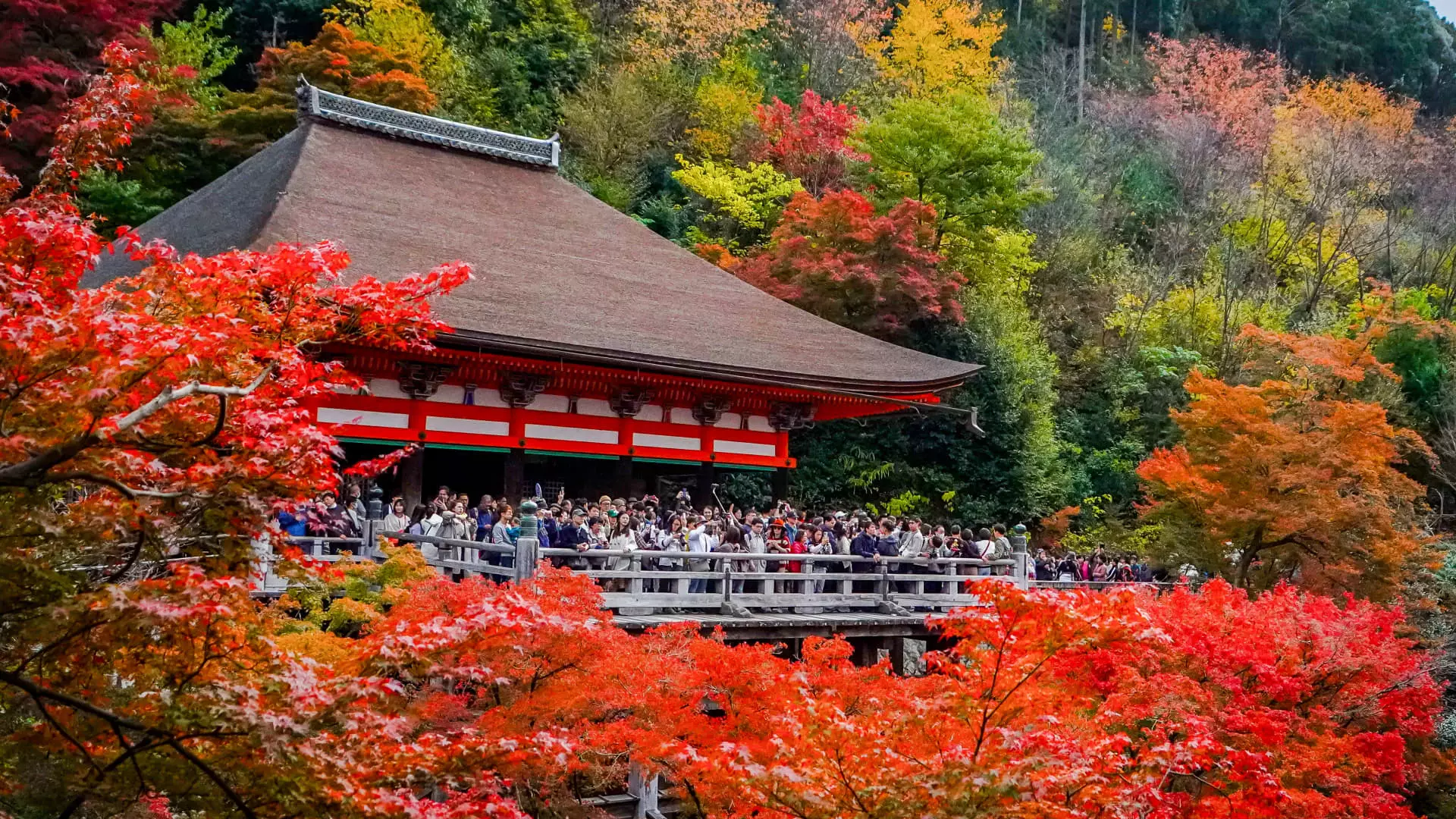 Nový rozmach turistického ruchu v Japonsku během podzimu 2024