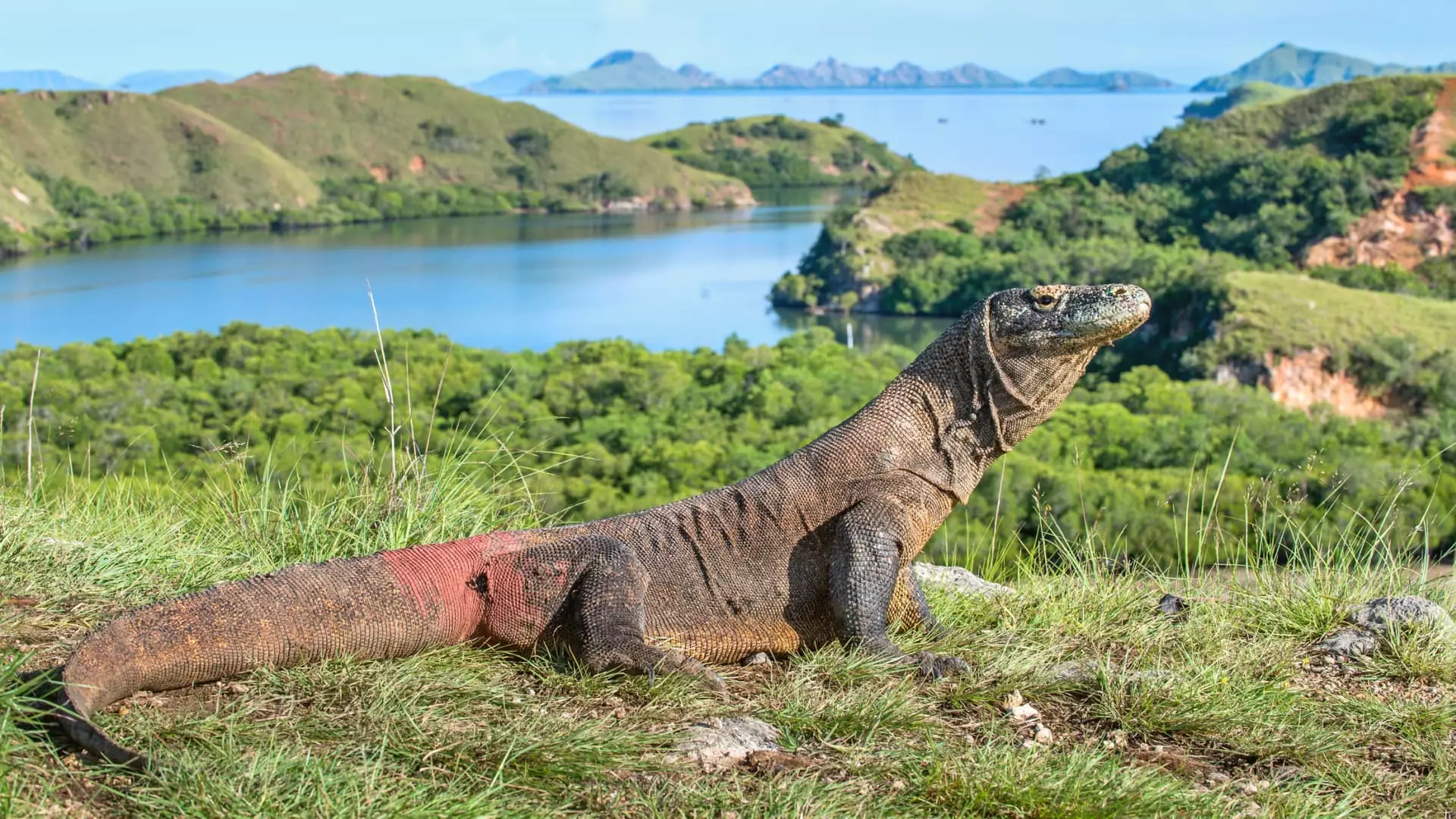 Nové Priame Lety z Singapuru do Labuan Bajo: Oživenie Turizmu a Chránenie Prírody