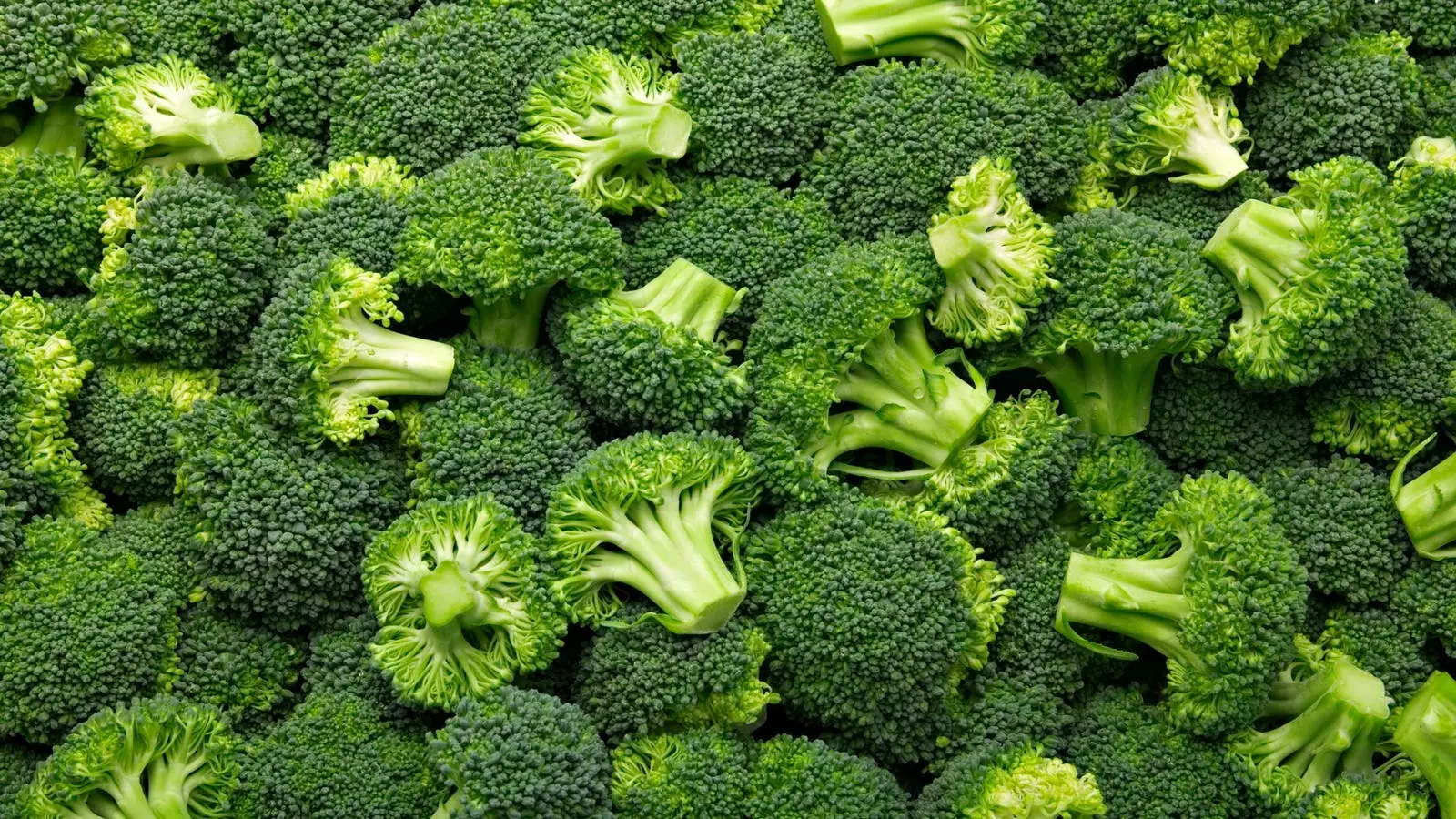 Understanding the Risks of Frozen Food Recalls: A Critical Look at the Marketside Broccoli Florets Recall