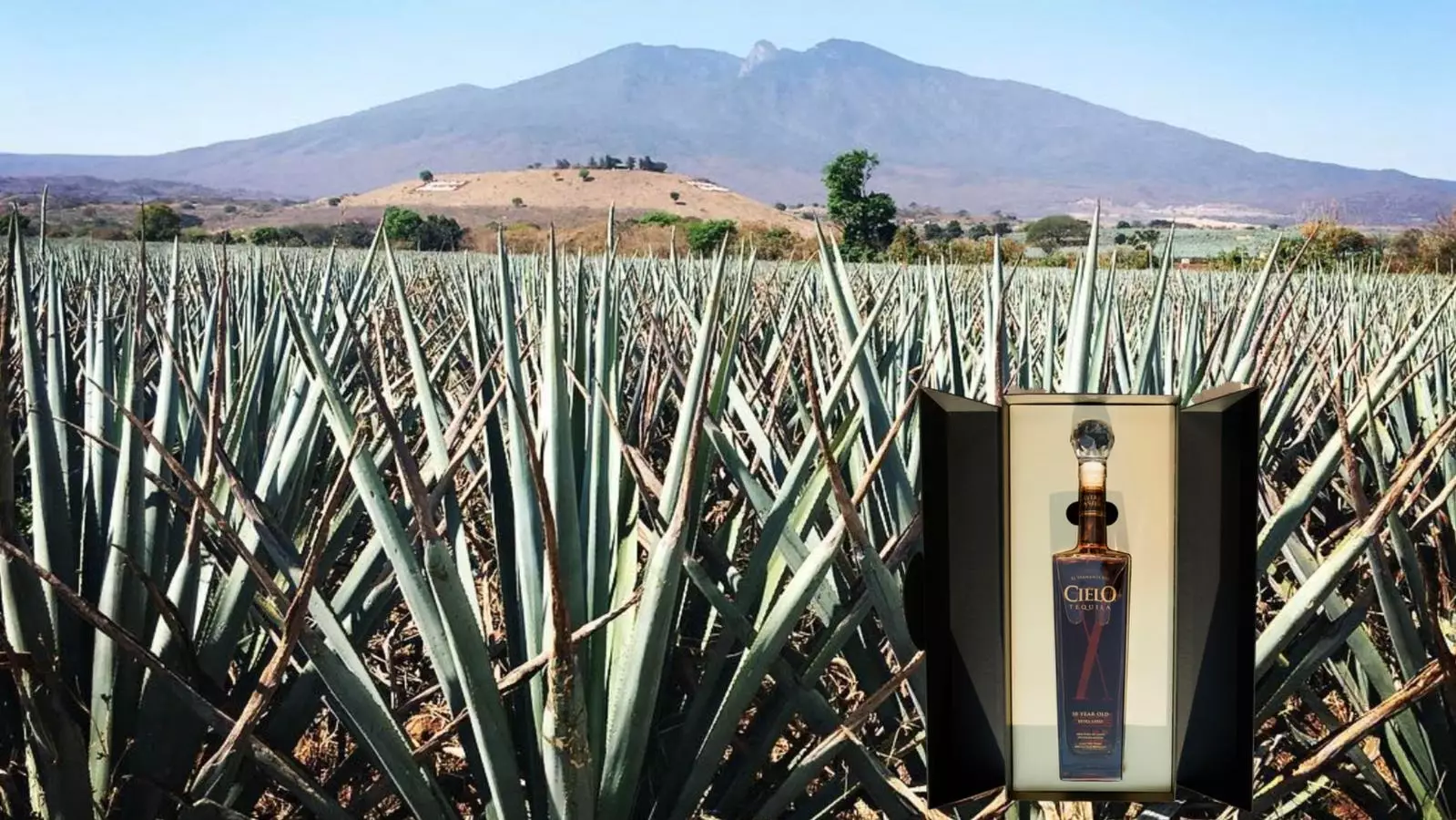 The Exquisite Craft of Cielo X: A Luxe Tequila Experience